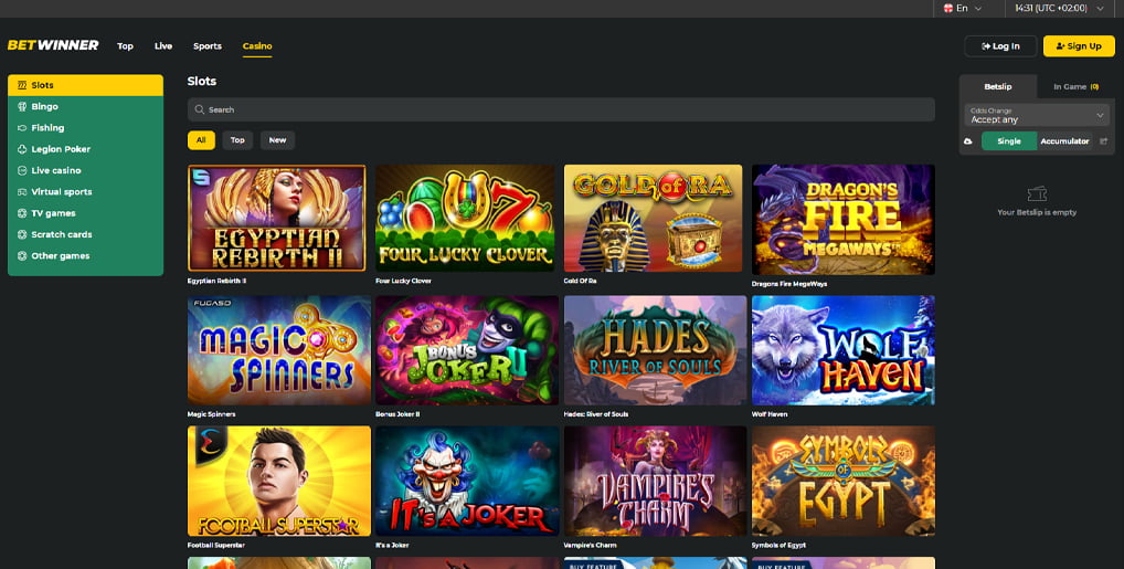 Understanding BetWinner Terms Your Complete Guide Understanding BetWinner Terms Your Complete Guide